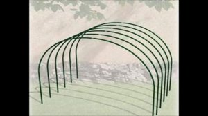 ГЛАВНЫЕ ПРАВИЛА ЗАТЕНЕНИЯ ХРИЗАНТЕМ.