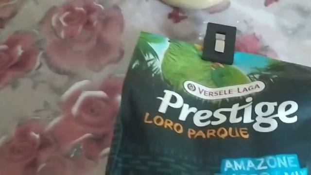 Попугай Амазон Рио, два месяца, содержание смотреть онлайн