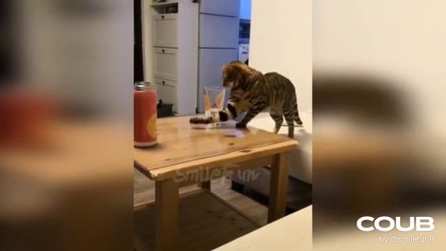 1611147185_looped_1611147184.mp4 смотреть онлайн