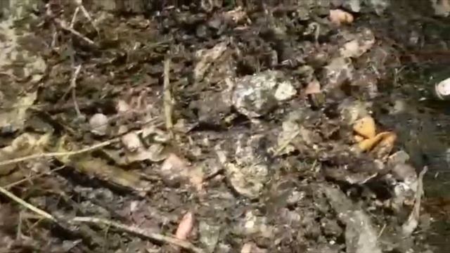 Разведение червей в гараже на даче. Вермиферма дома своими руками. Черви бизнес смотреть онлайн