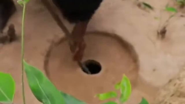 Python catch with trap смотреть онлайн