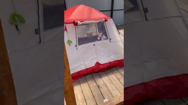 anyplace 1074 палатка автомат 3-х местная от магазина RemixVL тел 89146526355