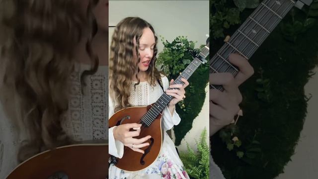 Answering your questions about octave mandolin! смотреть онлайн