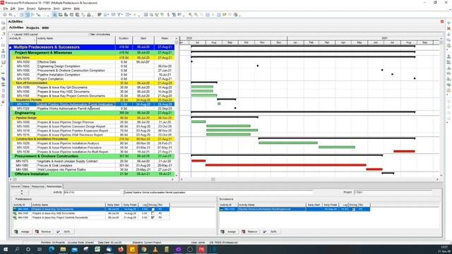 Assign Multiple Predecessors or Successors to Multiple P6 Activities at Same Time смотреть онлайн