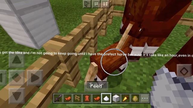 Minecraft Bedrock 1.16 - Perfect Horse Breeding Tutorial смотреть онлайн