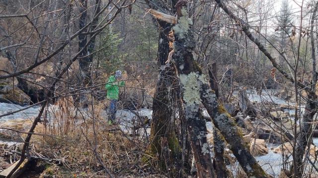 Продолжение прогулки по берегу реки Кульдур, санаторий Горняк. Часть 2. смотреть онлайн