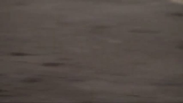 Вакуумная сушка. Образцы сушки слэбов. смотреть онлайн