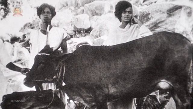 Почему Аватар Приходит| Опыт С Бхагаваном Шри Сатья Саи Бабой | От Сатьи к Саи смотреть онлайн