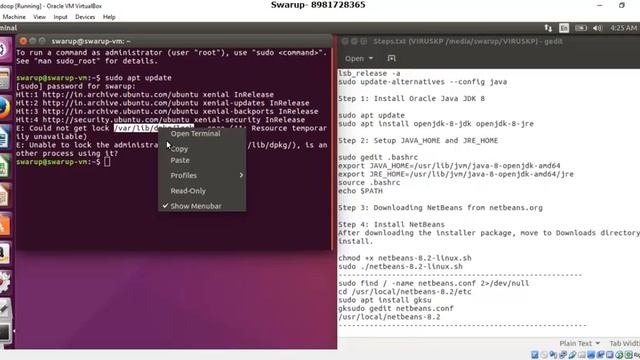 Install Netbeans 8.2 in Ubuntu 16.04 смотреть онлайн