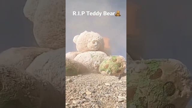 Ram TRX Vs Ford Raptor Vs Teddy Bear #fordraptor #ramtrx #teddybear #baja смотреть онлайн