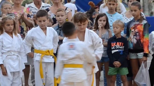 Айкидо для детей и взрослых в Немецкой деревне смотреть онлайн
