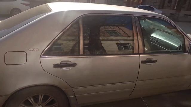 обзор кабана w12 long из бригады. смотреть онлайн