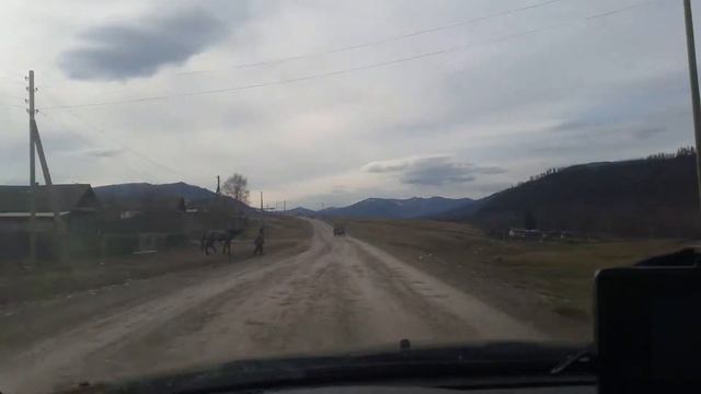 Барагаш. Республика Алтай. Видео села Баргаш. Деревня Барагаш