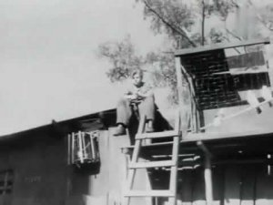 За фабричной заставой