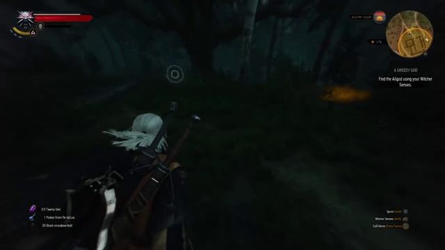 Playing The Witcher 3. FINDING A SECRET GOD DURING FREE ROAM - GREEDY DEVIL GOD - ALLGOD смотреть онлайн