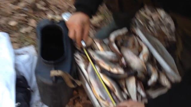 ловля хариуса на грузовую мушку (результат) смотреть онлайн