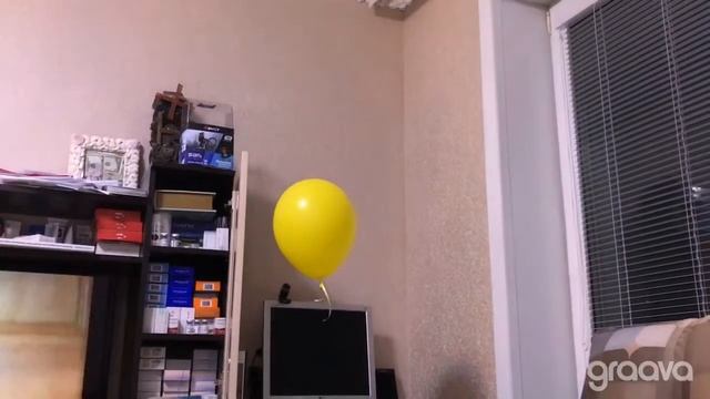 Купили шарики на день рождения дочки..,теперь летают сами себе по квартире - колбасит из))) смотреть онлайн