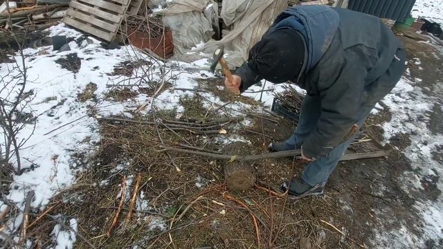 ПЕРЕСЕЛЯЕМ КРОЛЬЧИХУ НА НОВОЕ МЕСТО. БУДНИ КРОЛИКОВОДА. ОБРЕЗАЕМ ДЕРЕВЬЯ. ПЕКУ ХЛЕБ 🍞 смотреть онлайн