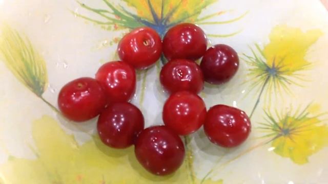 Новые растения ? в подарок и для себя / Питомник роз ? в Туле / Странные подсолнухи ? смотреть онлайн