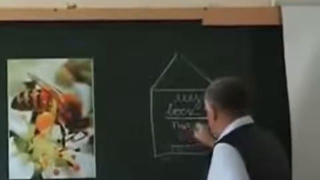 Шокирующая правда о мёде! Жданов раскрывает все секреты! смотреть онлайн