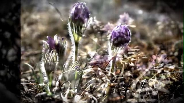 Зачем и о чём говорить смотреть онлайн