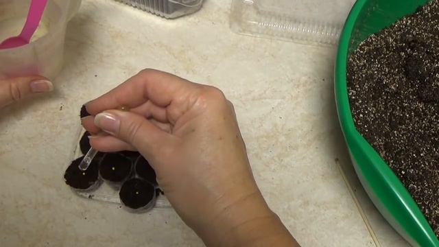 Мода и Стиль