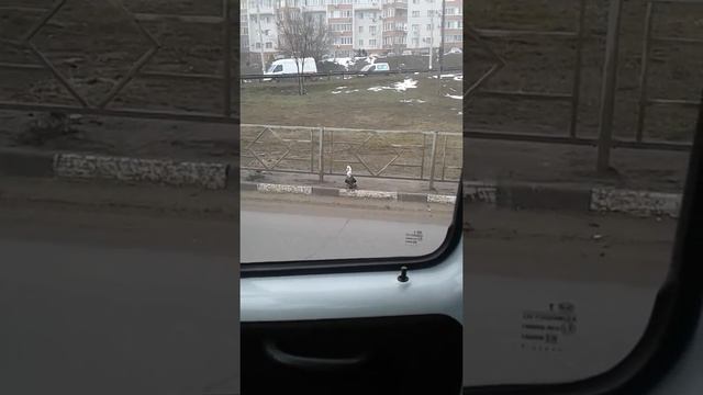 Волгоград. район СХИ. 20.02.20 смотреть онлайн