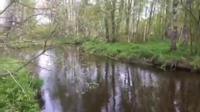 Сточные воды. Птицефабрика Ударник. Поселение Победа. Река Великая. смотреть онлайн