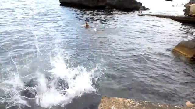 Крым, Алупка, элленг 53, Чёрное море. Наш отпуск 2016 г. смотреть онлайн
