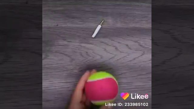 Питомцу нужно внимание смотреть онлайн