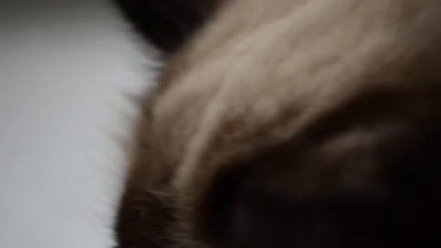 Пейджер GRAFFITI - Мал, да удал смотреть онлайн