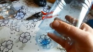 Актинидия/ Проращивание черенков/ Ч. 2