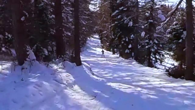 Biatlon смотреть онлайн