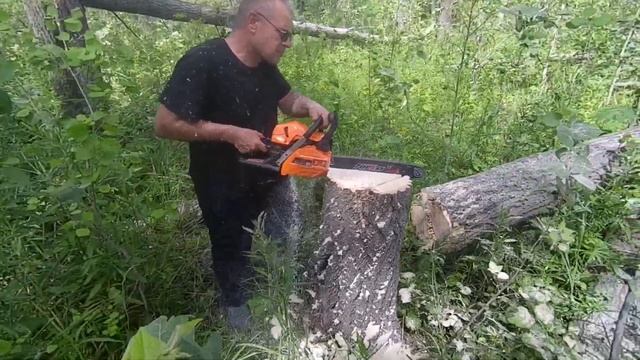 Ставим универсальные СОЛОНЦЫ для диких животных.. смотреть онлайн