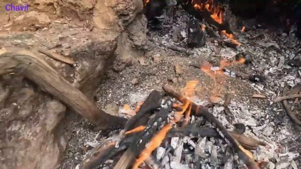 Nomads Making Lunch : Nomads of Iran