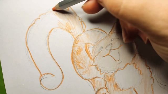 Рисуем рыжего котика просто. Акварельные карандаши. Мультяшные животные смотреть онлайн