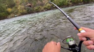 Рыбалка в Магадане | Хариус | Голец.