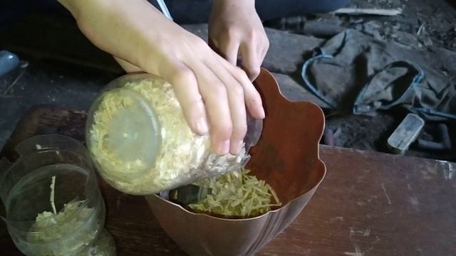 КАК РАЗВОДИТЬ ОПАРЫШЕЙ В ДОМАШНИХ УСЛОВИЯХ / 100 ОПАРЫШЕЙ ЗА 15 МИНУТ / Много рыбы за 10 минут смотреть онлайн