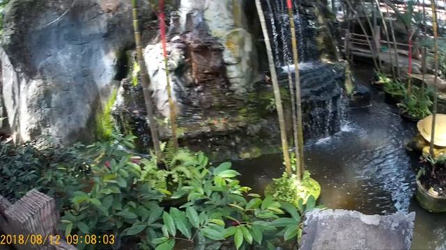 Таиланд, Паттайя, парк Нонг Нуч,остров черепах. смотреть онлайн