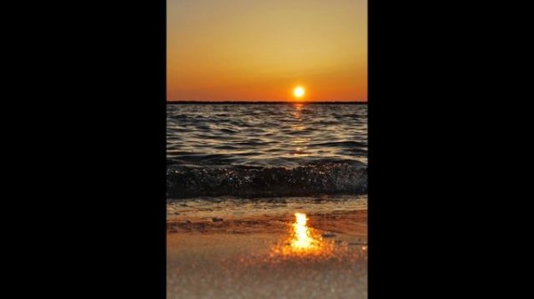 Spektrem - Shine [NFS Sound Free]