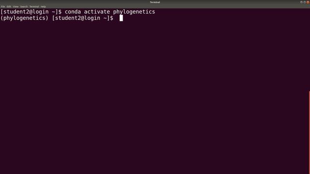 How to Install RAxML using Anaconda смотреть онлайн
