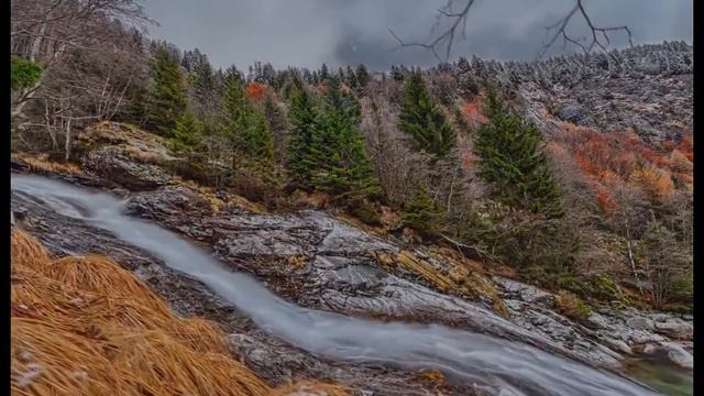 Carol Of Thrones - Beluga Trio Project смотреть онлайн