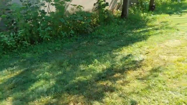 Куда поехать с девушкой на море в 2021году и что б бесплатно по халяве. Лазурное домик как условия смотреть онлайн