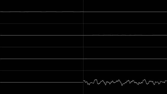 Raccoon Of The Sea -Original Song by VGA Guy - Oscilloscope View смотреть онлайн