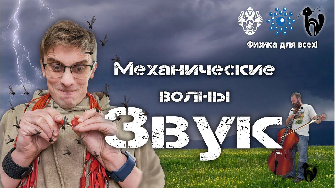 Лекция с демонстрациями экспериментов «Механические волны. Звук»