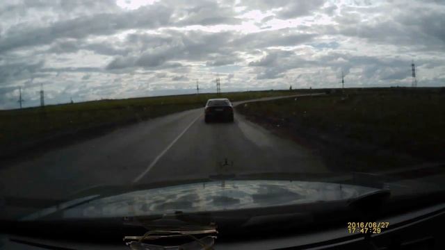 Животные на трассе Караганда - Шахтинск смотреть онлайн