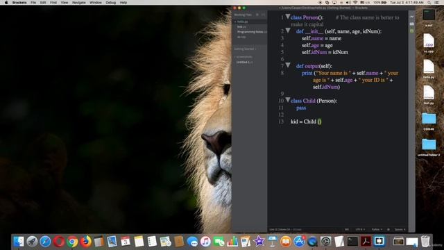Class Inheritance #17.1 complete python course from basic to brilliance смотреть онлайн