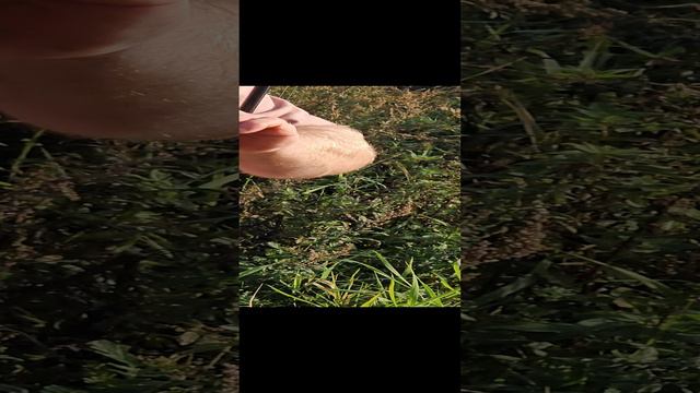 Вот это улов!))))