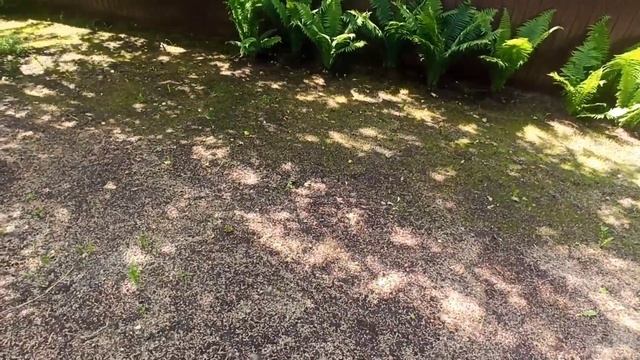 Обзор плодородных грунтов купленных на Авито и не только. Цены на начало сезона 2023г. смотреть онлайн