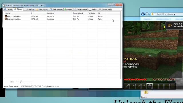 The Bukkit GUI Project - Overivew And Tutorial